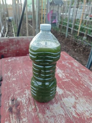 Purin ortigas ecológico 1,5 litros