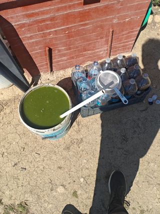 Purin ortigas ecológico 1,5 litros