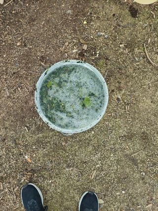 Purin ortigas ecológico 1,5 litros