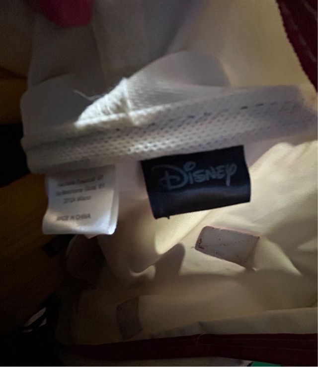 Borsone da palestra Wall Disney