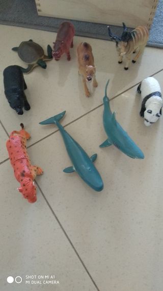 Animali di plastica