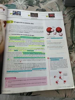 Química. 2 Bachillerato. Savia