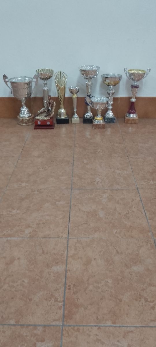 Lote de 9 trofeos