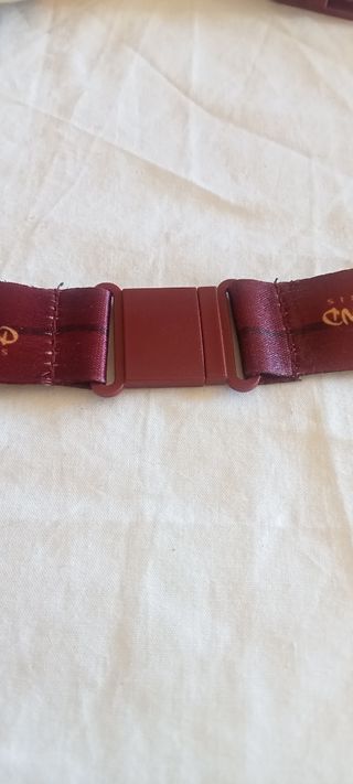 Cinta llavero de Disneyland París