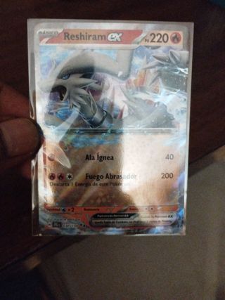 Cartas Pokémon ex
