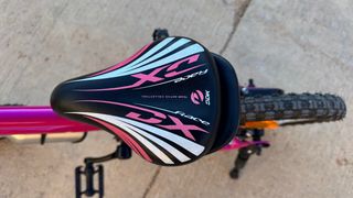 Bicicleta niña (90 eur negoziabili)