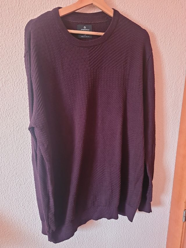 Jersey de primavera caballero