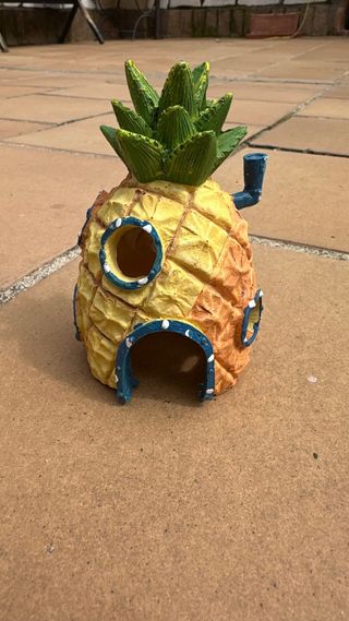 Lote decoracion acuario