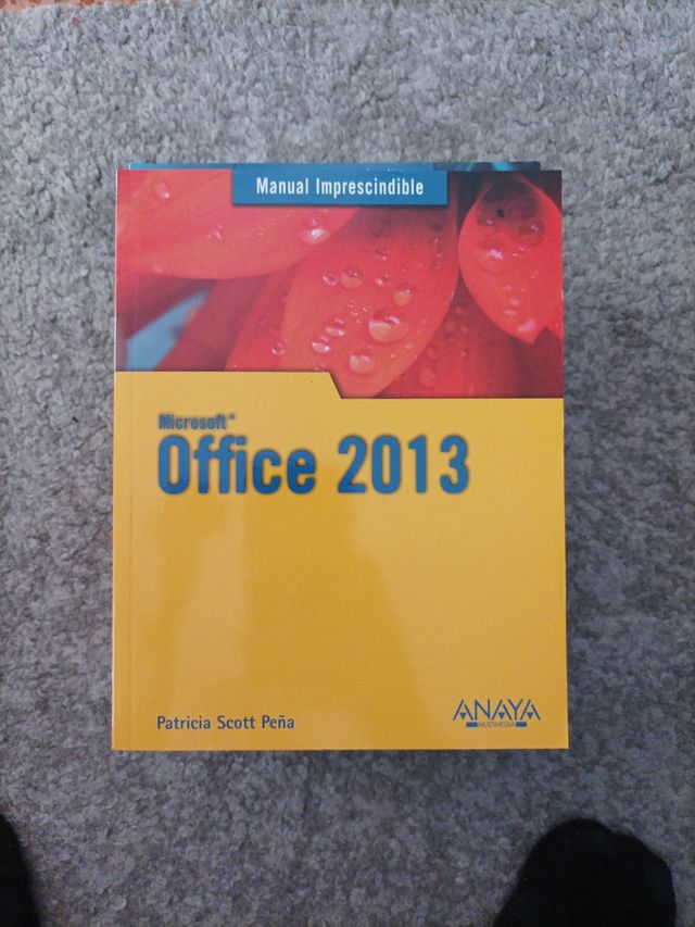 Office 2013