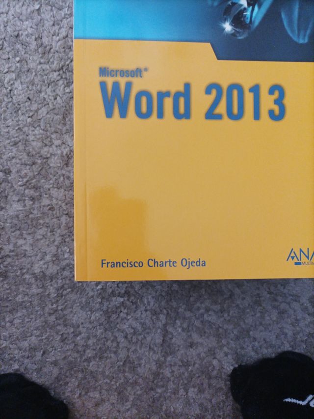 Word 2013 (Spanish Edition)