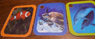 Centro giochi e attività