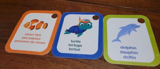 Centro giochi e attività