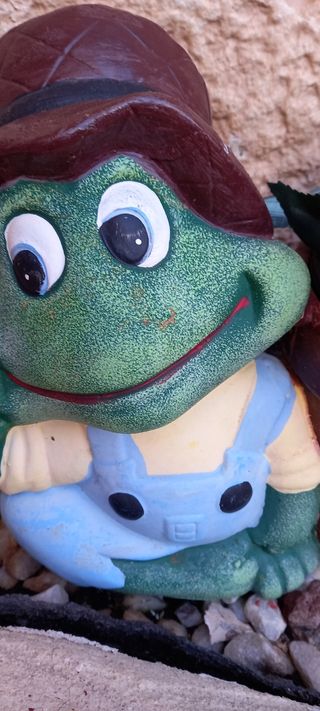 Rana verde con macetero