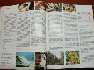 Enciclopedia La medicina y la salud