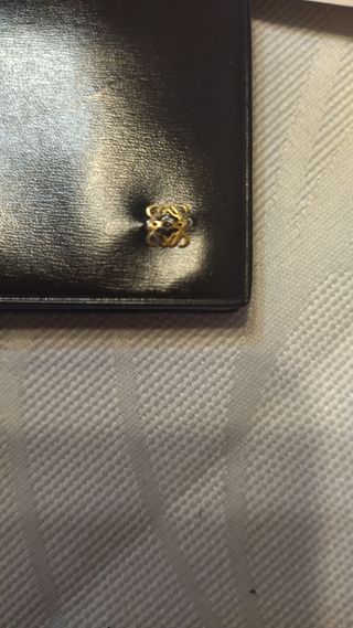 Billetera de píel Loewe 