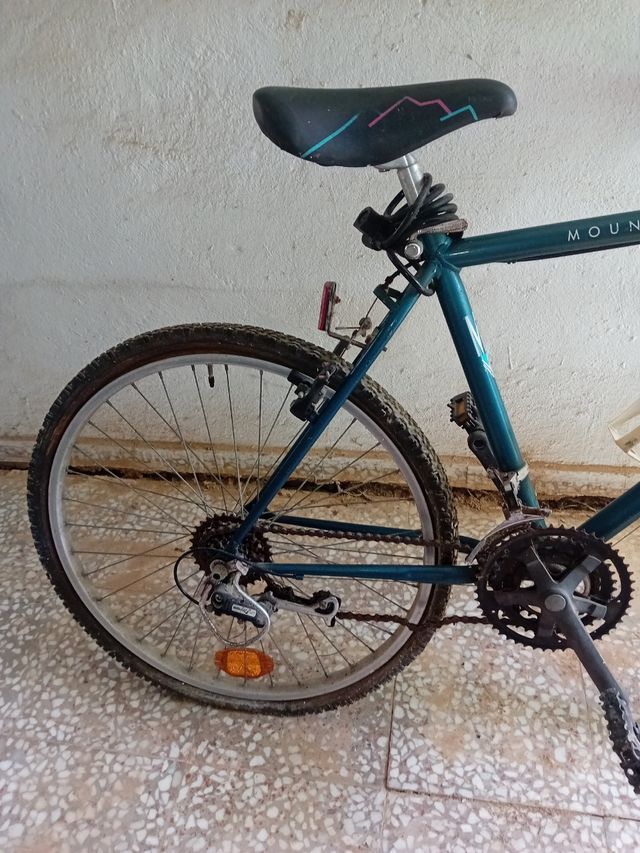 Mountain bike de carrera