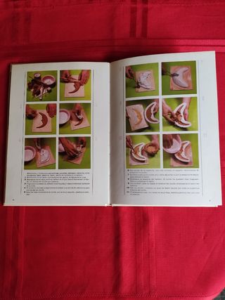 Libros "Decoración de alabastrina" y "Escayola".