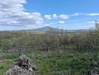 TERRENO FINCA PARCELA