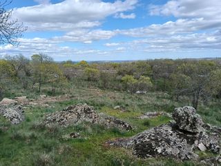TERRENO FINCA PARCELA