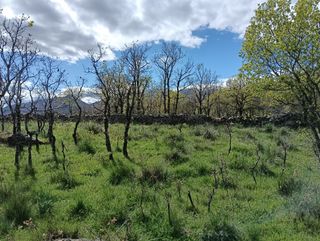 TERRENO FINCA PARCELA