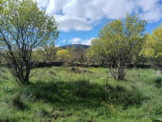 TERRENO FINCA PARCELA