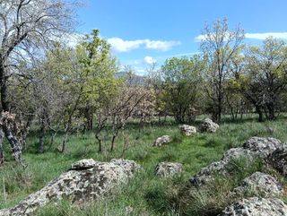 TERRENO FINCA PARCELA