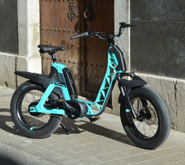 Alquila Bicicleta Eléctrica Yamaha