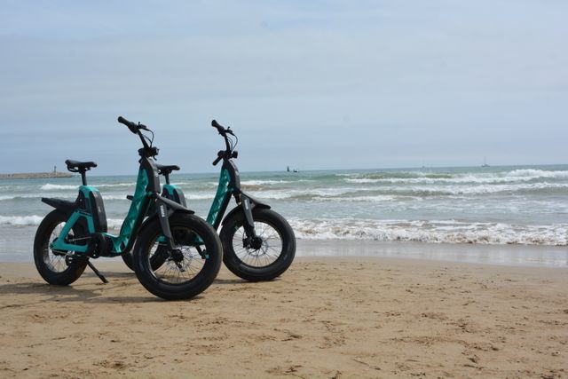 Alquila Bicicleta Eléctrica Yamaha