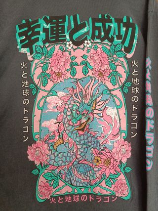 Camiseta manga larga print dragón