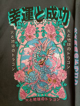 Camiseta manga larga print dragón