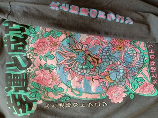 Camiseta manga larga print dragón