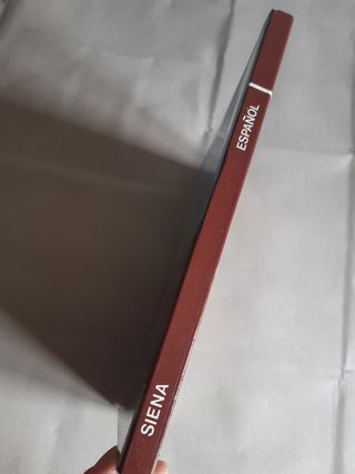 SIENA. CIUDAD DE ARTE, Rosella Vantaggi