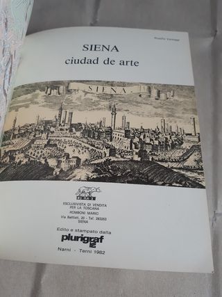 SIENA. CIUDAD DE ARTE, Rosella Vantaggi
