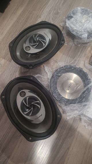 Altavoces pionner y vieta