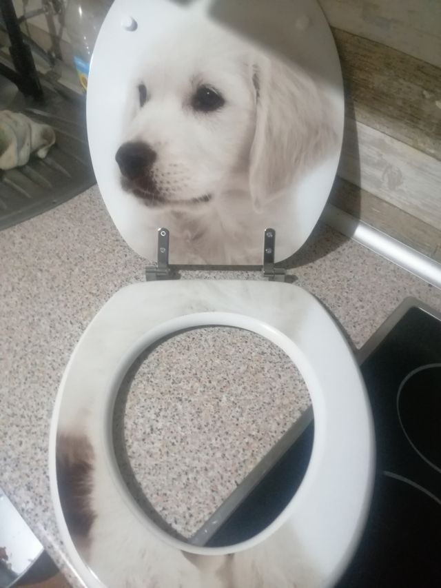 Tapa.WC.marca ROCA nueva sin uso