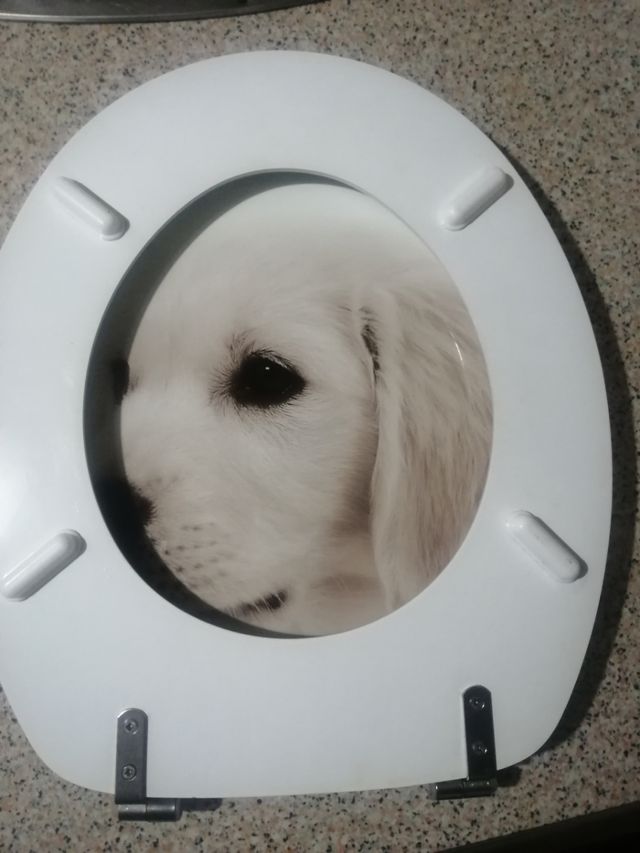 Tapa.WC.marca ROCA nueva sin uso