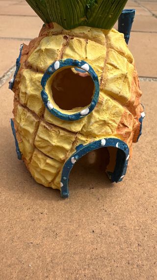 Piña bob esponja acuario