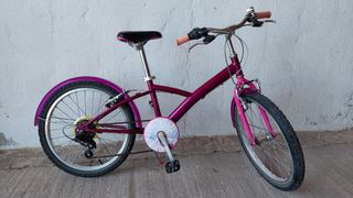 Bicicleta de paseo 20 pulgadas 