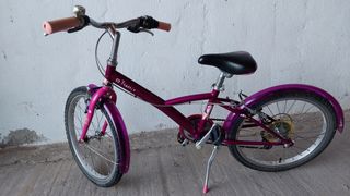 Bicicleta de paseo 20 pulgadas 