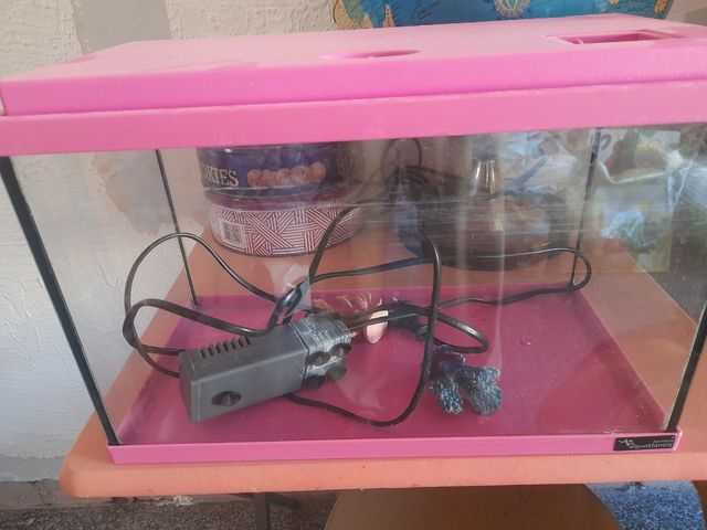 Pecera 12l y filtro 35largo 17ancho 20 alto