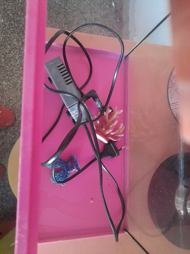 Pecera 12l y filtro 35largo 17ancho 20 alto