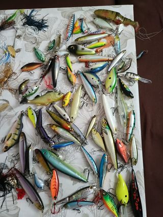 Cebos de pesca