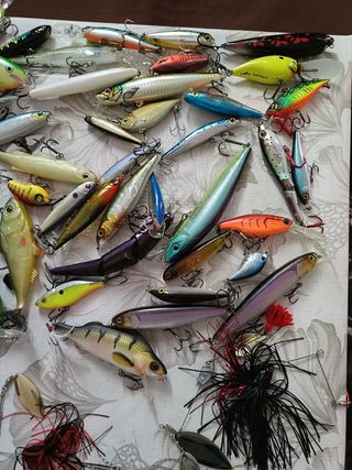 Cebos de pesca