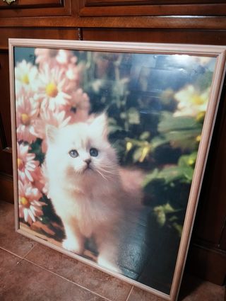 Cuadro de gato