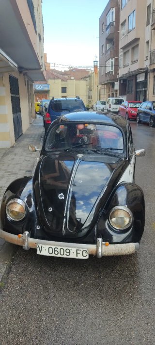 Volkswagen Beetle