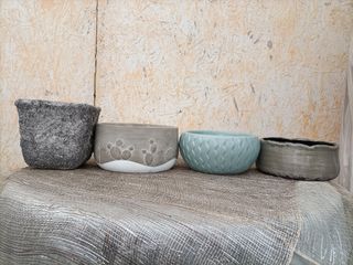 Vaso Ciotola Bassa e Larga Piante Grasse