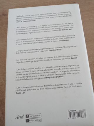 Los pájaros, el arte y la vida: La belleza de las cosas pequeñas y significativas