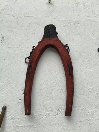 Yunta de mula