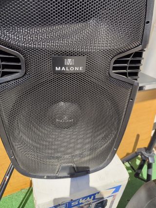 Altavoz autoamplificado