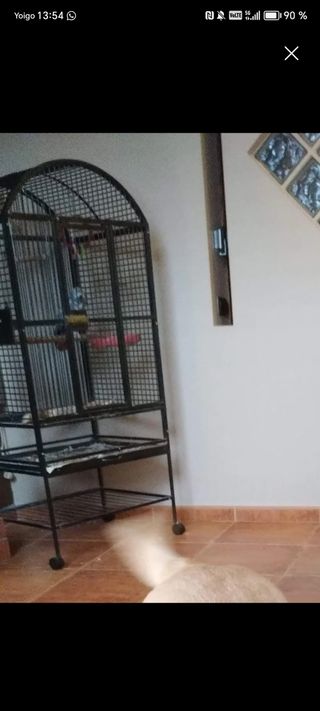 Jaula loro